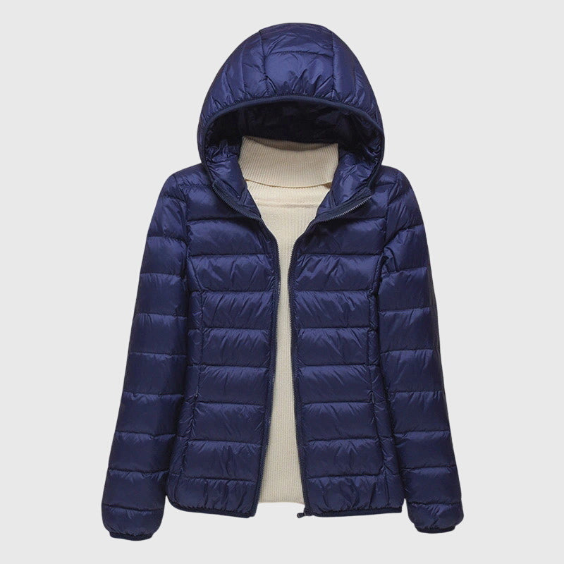 Dark Blue Hood / 3XL